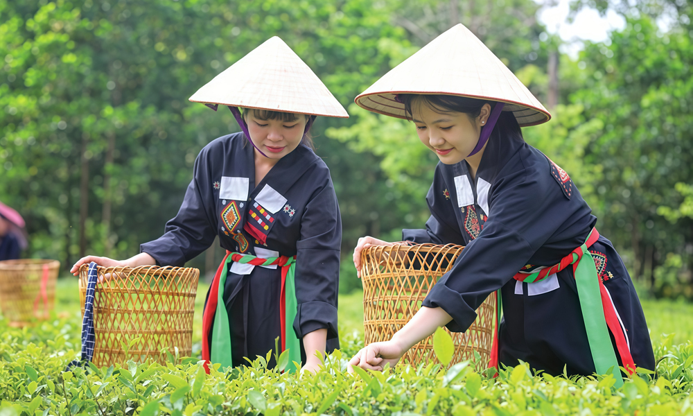 Khám phá văn hóa truyền thống: Trải nghiệm mới hấp dẫn du khách